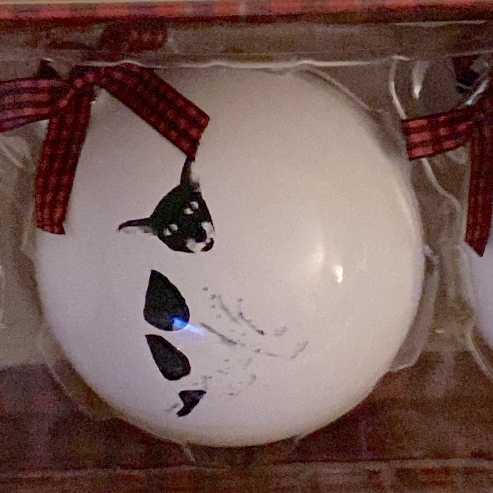 Rae Dunn Ornament Set - Picture 3 of 4